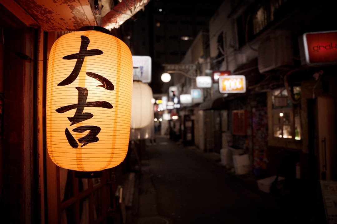 聋哑大嫂新年省亲记